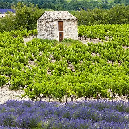 Chambres D'hotes Les Nuits Du Taris Bed & Breakfast 3*