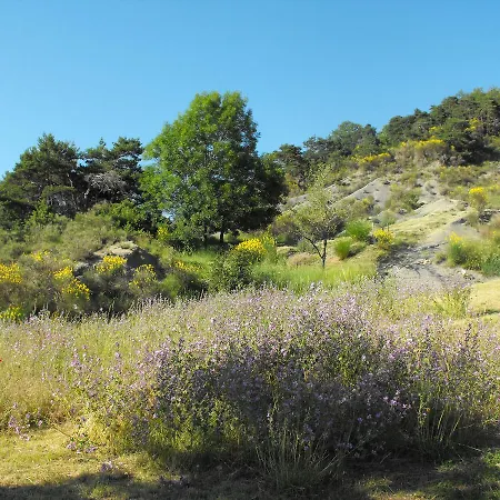 Bed & Breakfast Chambres D'hotes Les Nuits Du Taris Bourdeaux